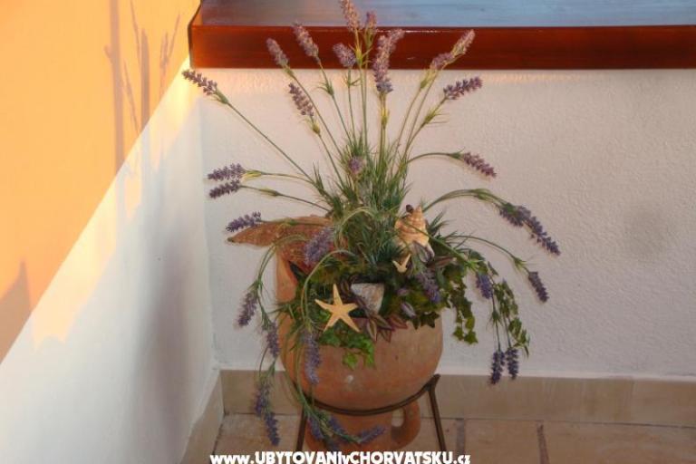 Maison Jadranka – foto 7