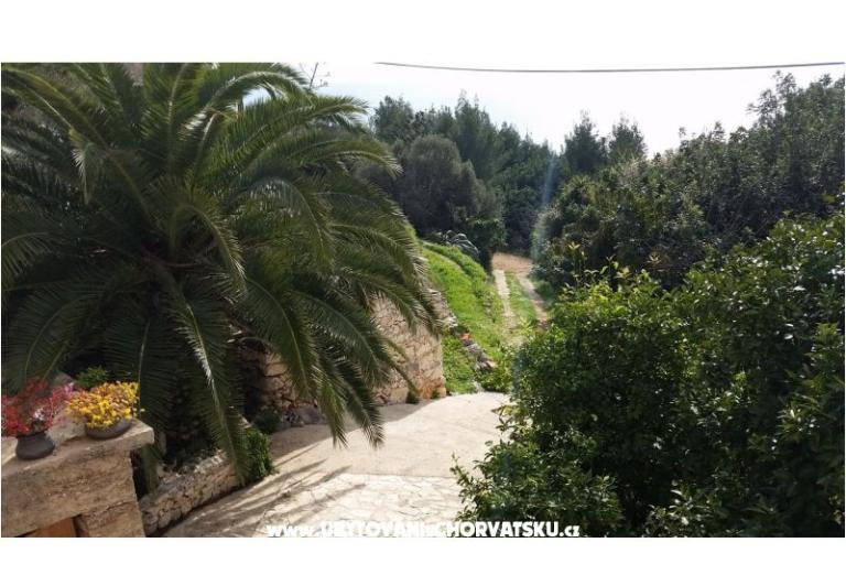 Maison de vacances Rubinić – foto 4