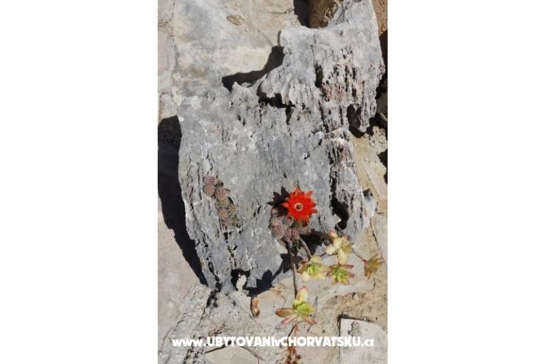 Maison de vacances Rubinić – foto 7