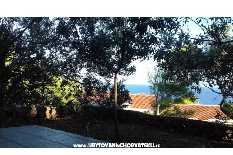 Tigrich apartmani – foto 11