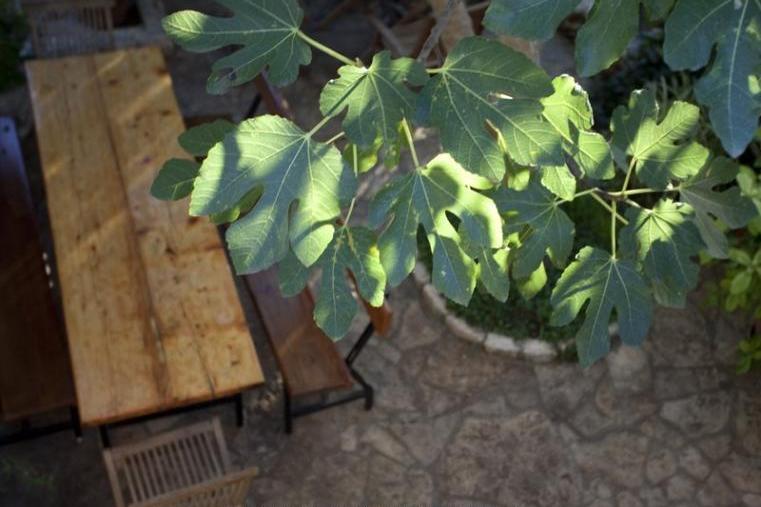 Tonči Vloka – foto 5