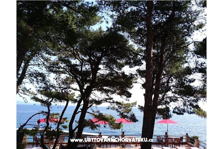 Chambres i Appartements - Villa Irming – foto 45