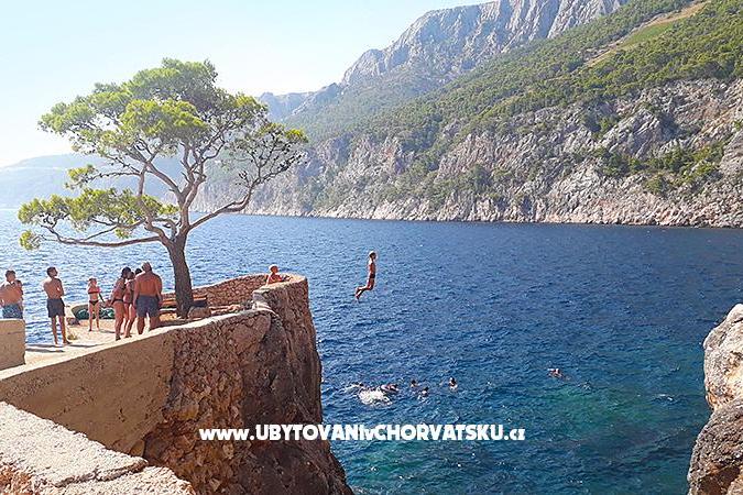 Villa la Lavanda – foto 6