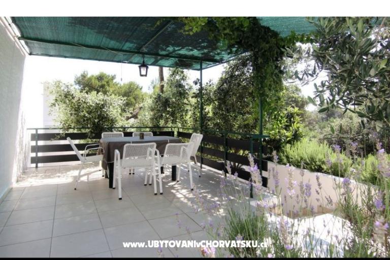 Villa Ema – foto 10