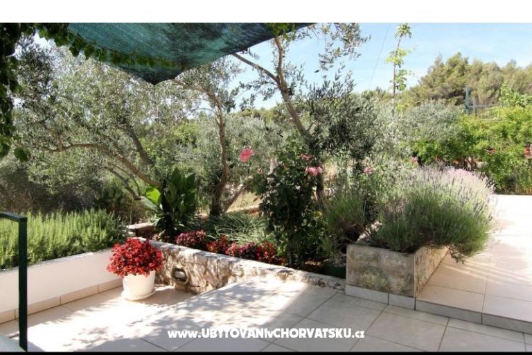 Villa Ema – foto 11