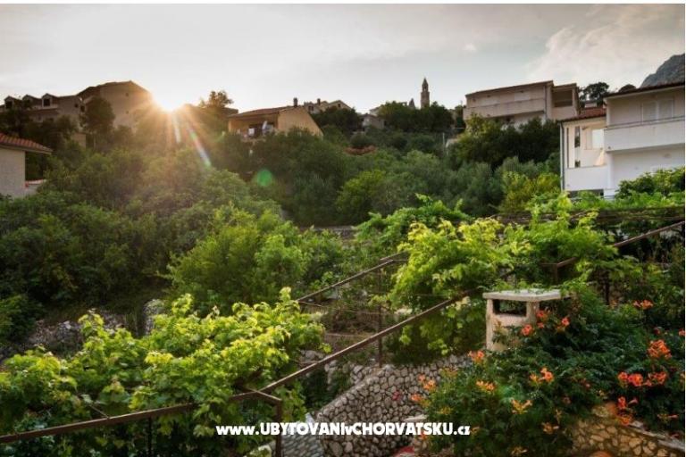 Vila Daniel – foto 14