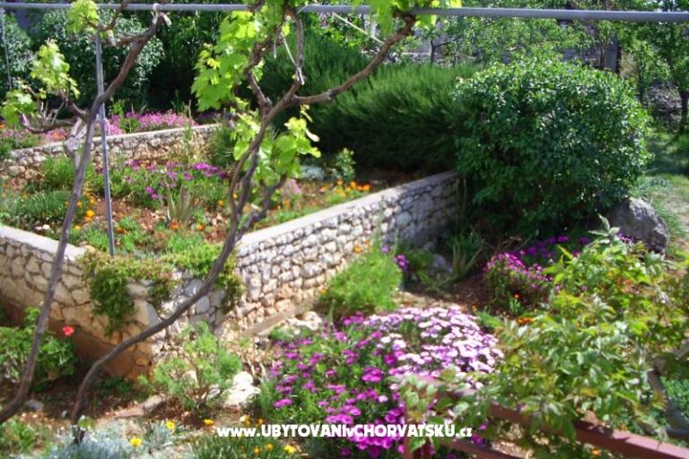 Appartement Buterin – foto 11