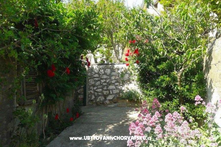 Maison de vacances - Zapuntel – foto 14