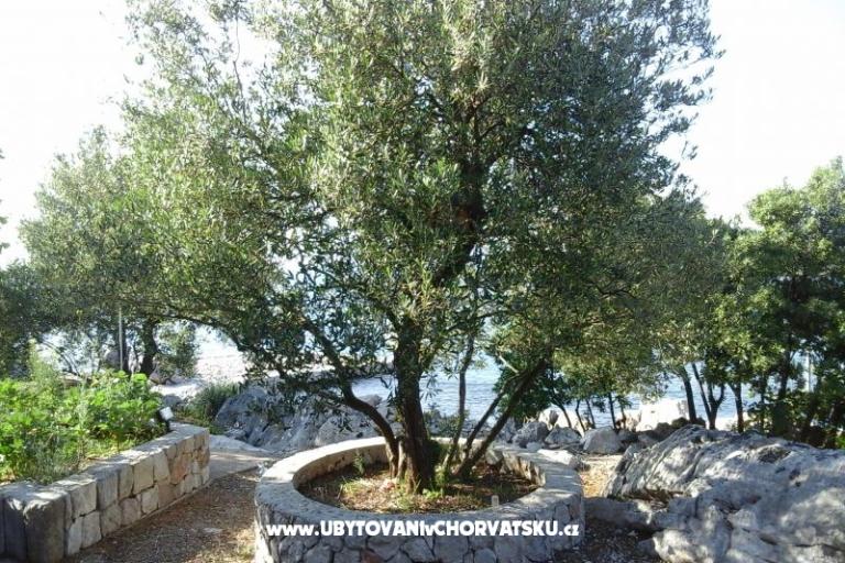 Appartement Smiljana – foto 2