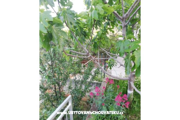 Appartements Kabli1 – foto 14