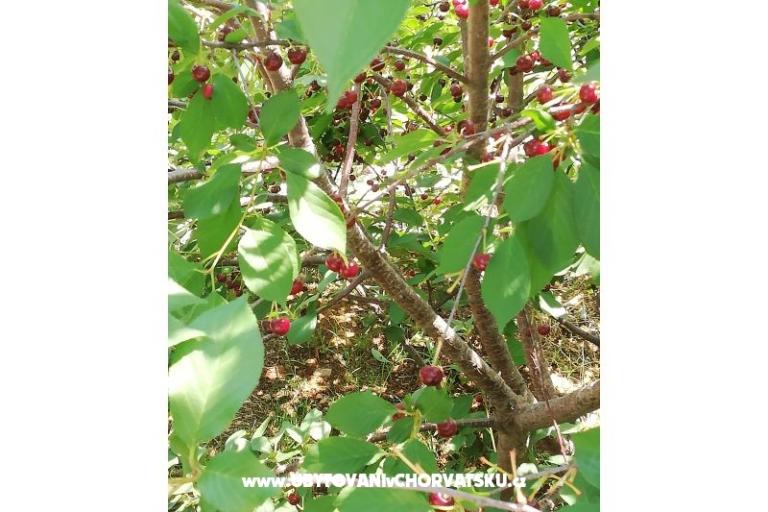 Appartements Kabli1 – foto 16