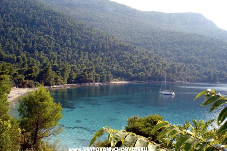 Appartements Trstenik – foto 8