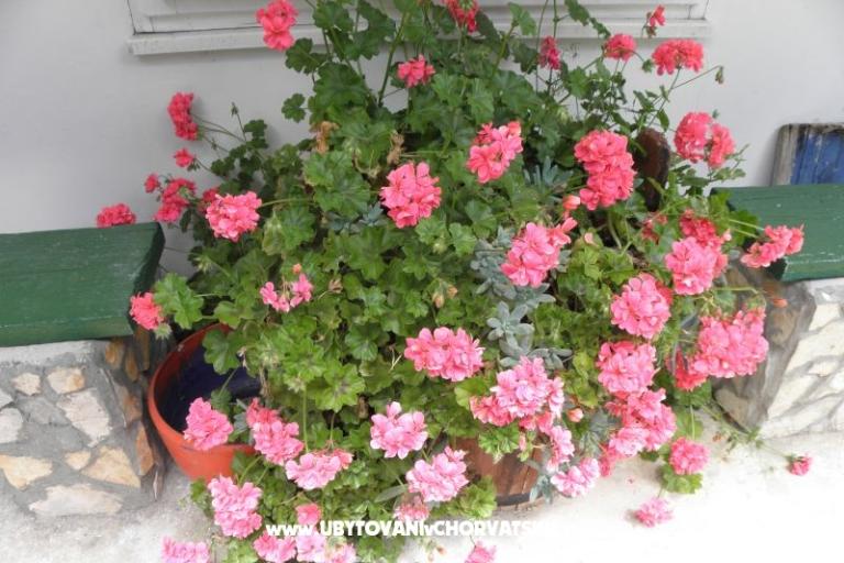 Appartements Šime Pelješac – foto 14