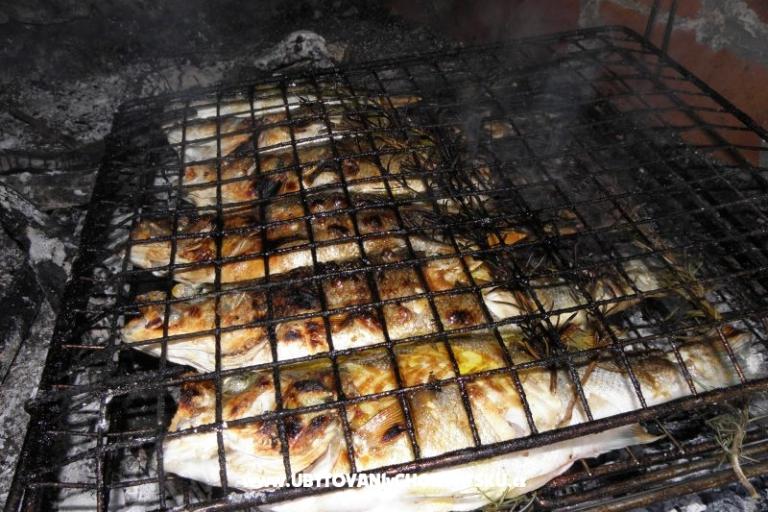 Appartements Šime Pelješac – foto 16