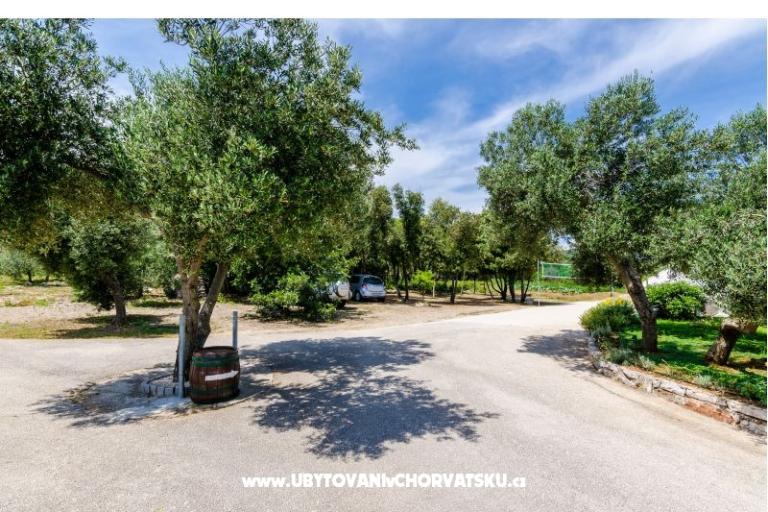 Appartements Glavor – foto 13