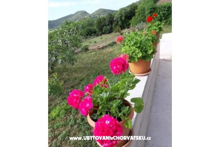 Gardenia Maison – foto 11