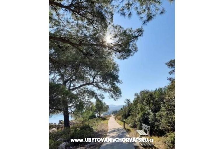 Gardenia Maison – foto 13