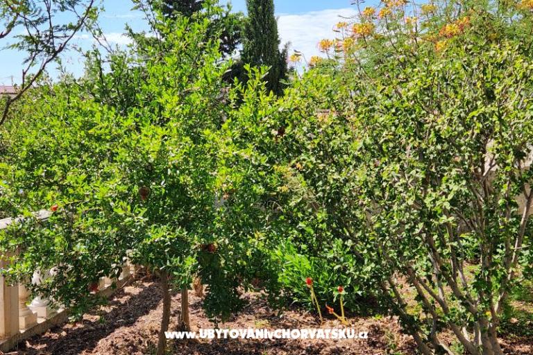 Appartement Karlobag – foto 63