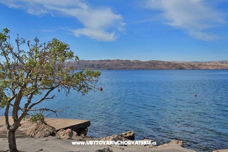 Beachfront Appartements Baricevic wit – foto 14