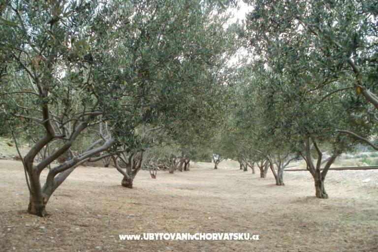 Appartements Grgin – foto 11