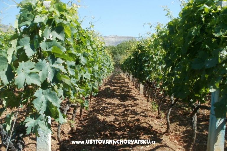 Appartements Grgin – foto 13