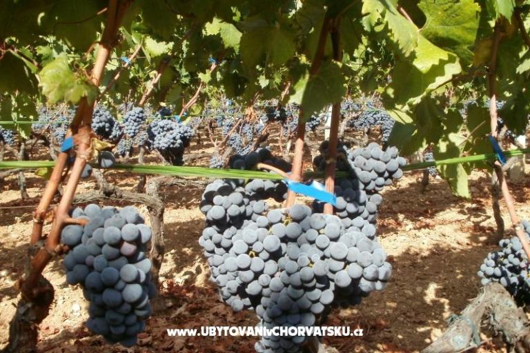 Appartements Grgin – foto 14