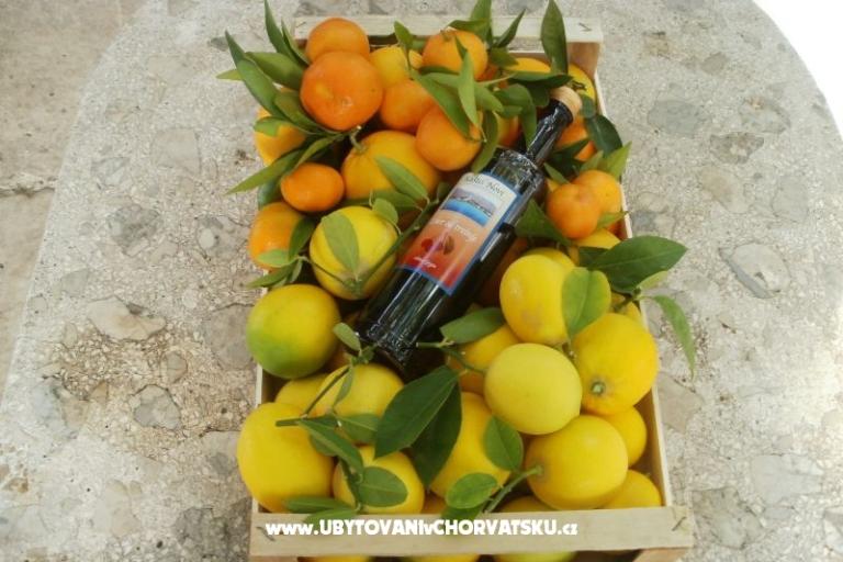 Appartements Grgin – foto 16