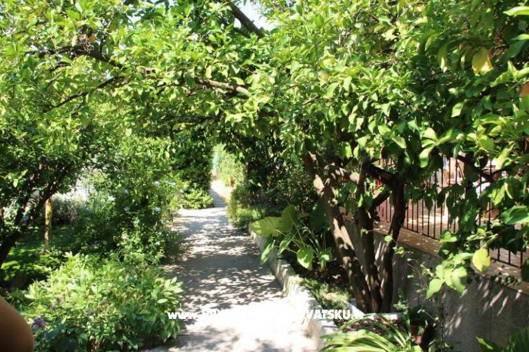 Appartement Magali – foto 11