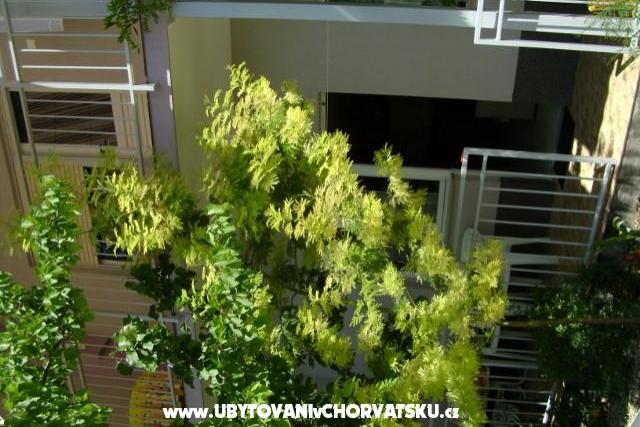 Appartements Botić – foto 8
