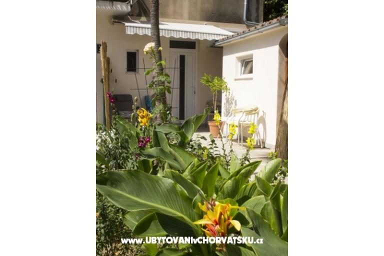 Appartements Bugenvilla – foto 11