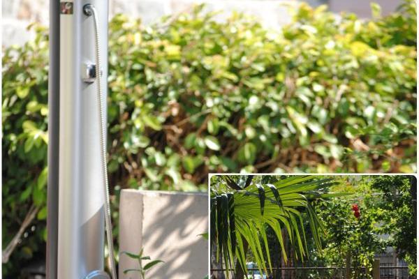 Appartements Bugenvilla – foto 7