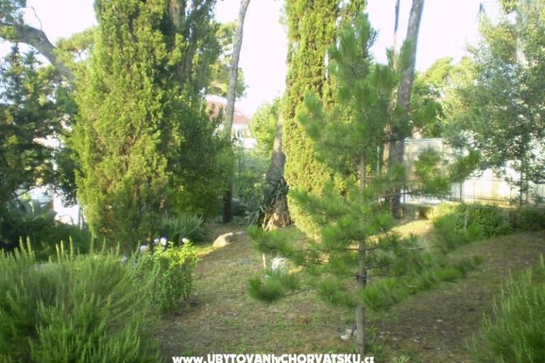 Appartements Grgin – foto 11