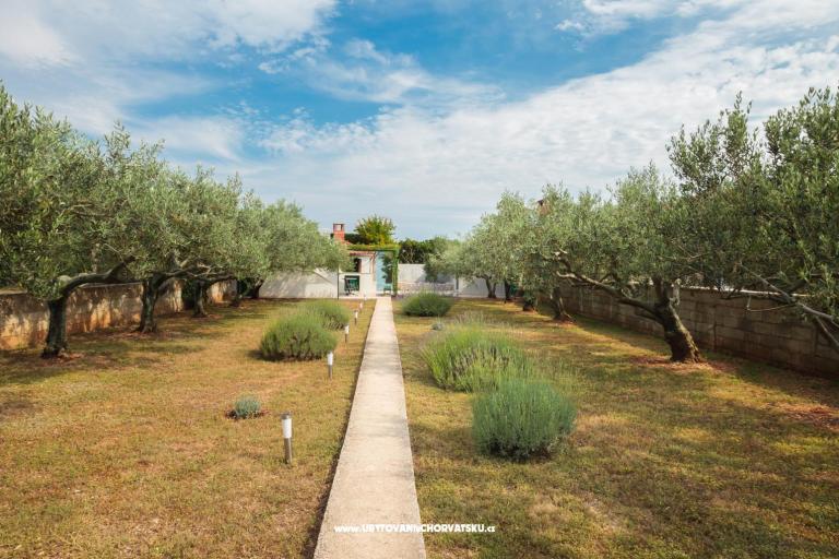 Maison sur la plage – foto 2