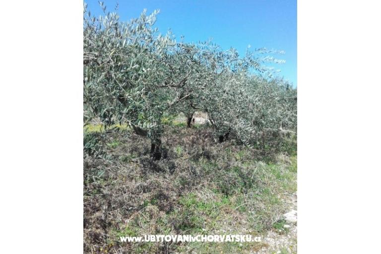 Appartements Alfijo – foto 13