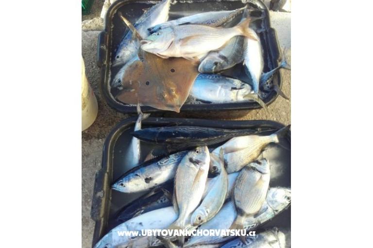 Appartements Alfijo – foto 9