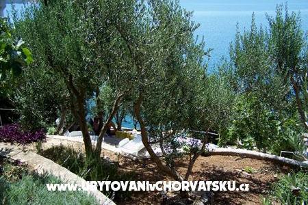 Appartements Mediterraneo – foto 11