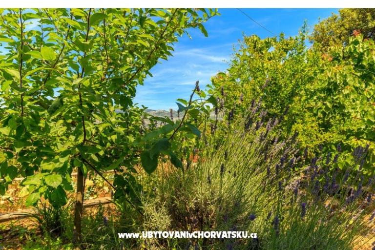 Appartements Kastelan – foto 6