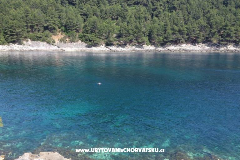 Appartements Šain – foto 12