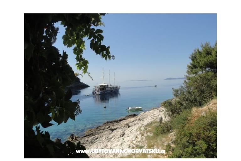 Appartements Šain – foto 13