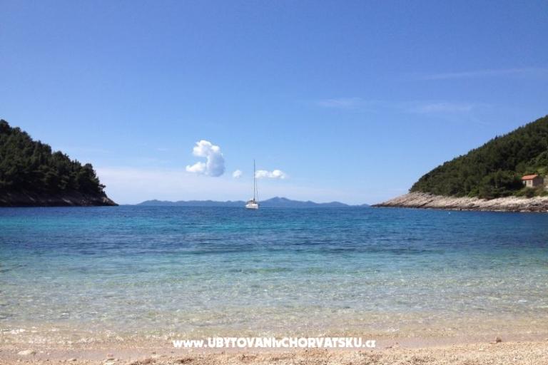 Appartements Šain – foto 14