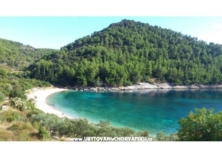 Appartements Šain – foto 15