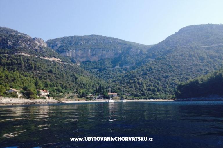 Appartements Šain – foto 16