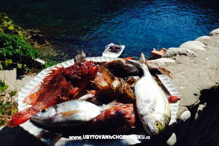 Appartements Šain – foto 17