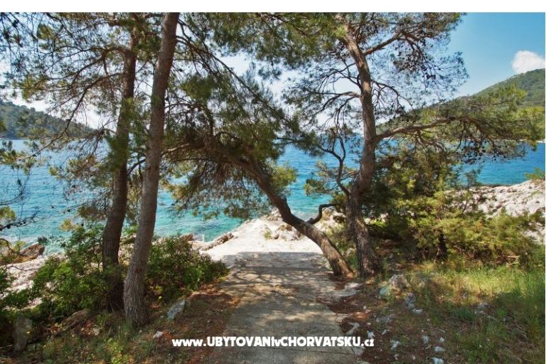 Appartements Marica P. – foto 6