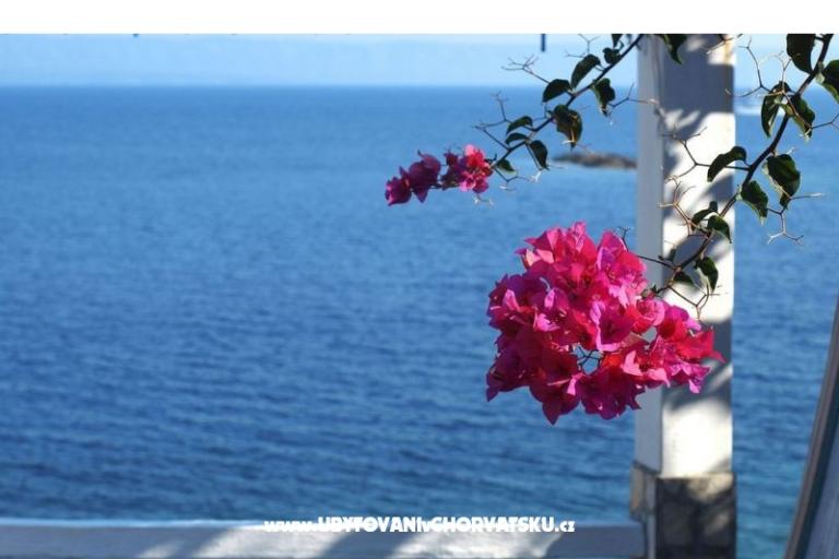 Maison de vacances Dorjan – foto 6