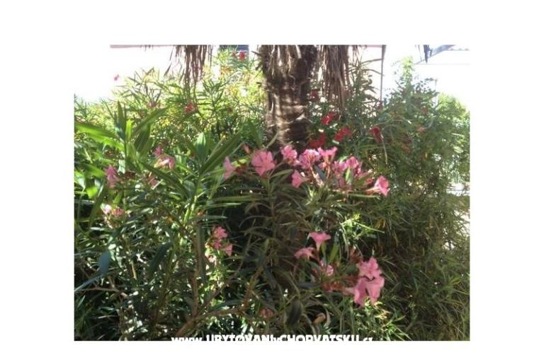 Appartement Iris – foto 12