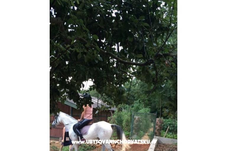 Appartement Tara – foto 9