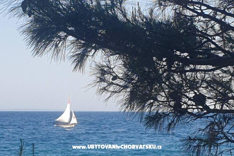 Appartements Blažević – foto 19