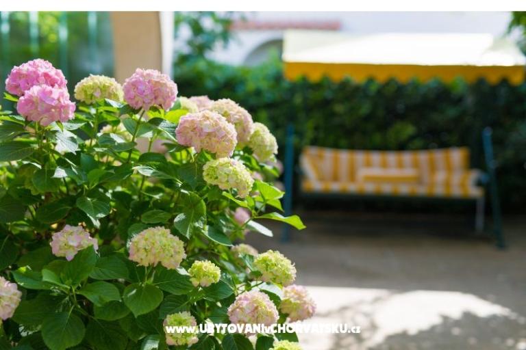 Appartements Blažević – foto 8