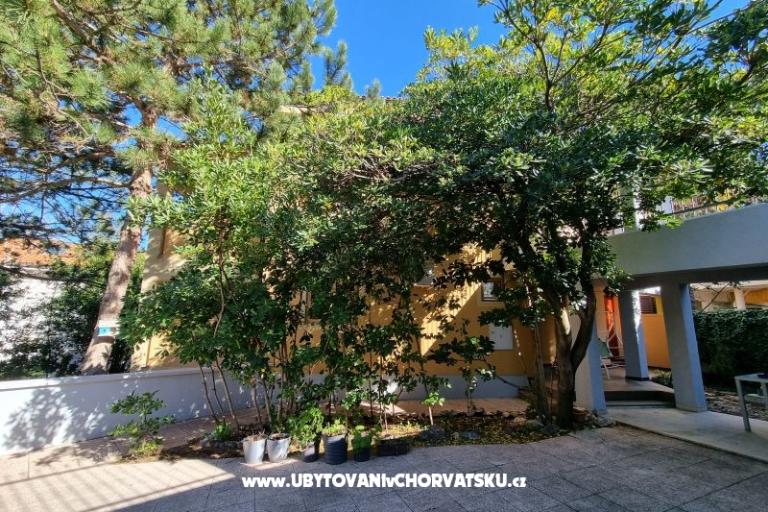 Appartements Casia – foto 6